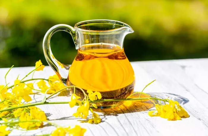 روغن کلزا برای پخت و پز چیست؟ خواص و مضرات